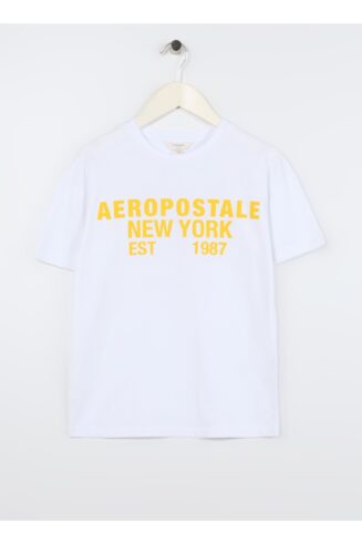 خرید مستقیم و آسان از ترندیول ترکیه تیشرت پسرانه برند آروپوستال Aeropostale با کد 5002979361